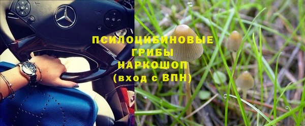 МДПВ Пестово