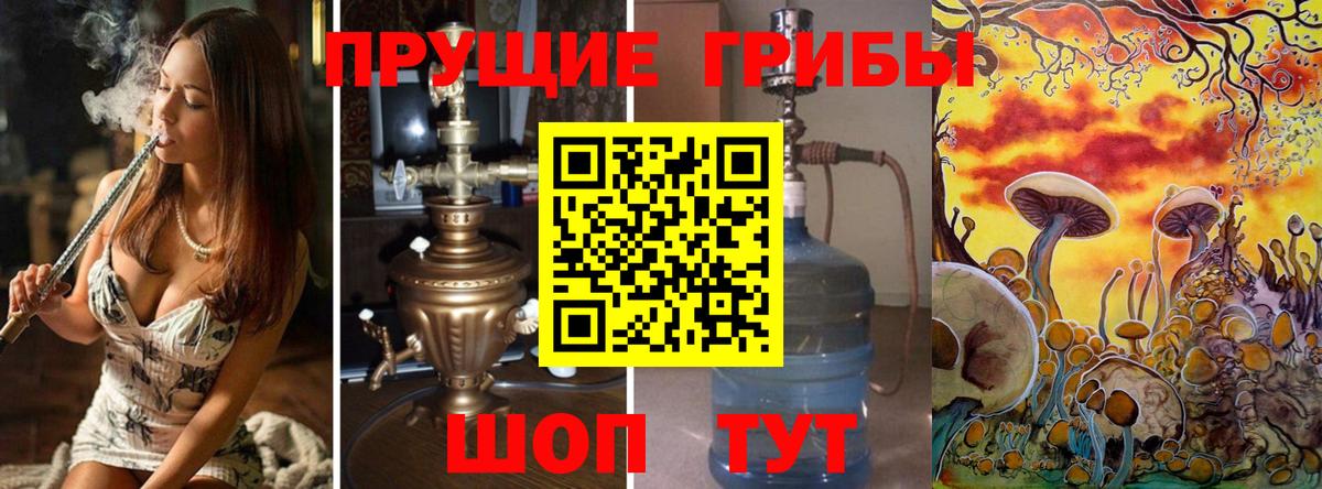 Галлюциногенные грибы Psilocybine cubensis  Кумертау  Галлюциногенные грибы Psilocybine cubensis 