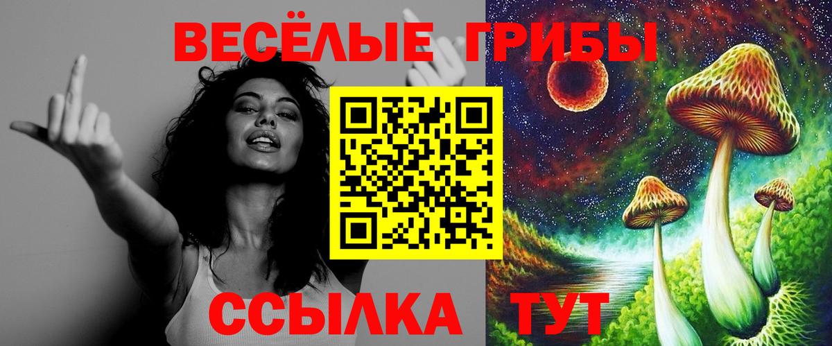 Галлюциногенные грибы мицелий  Вход с VPN  Кумертау 