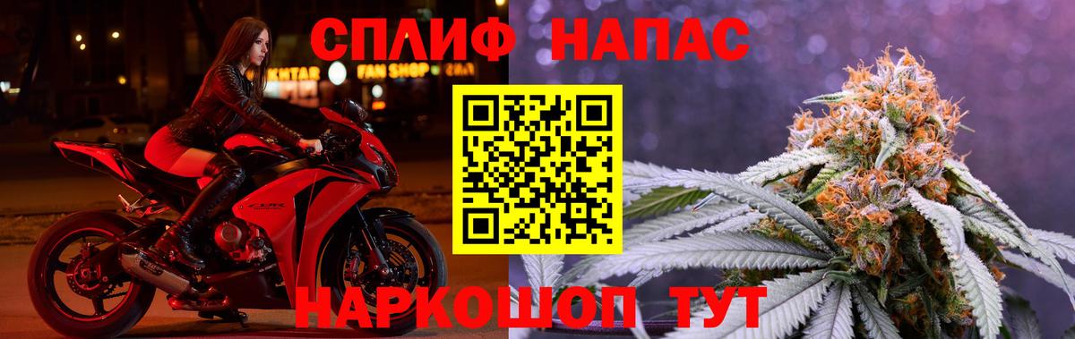 Марихуана сатива  Бошки марихуана планчик  Марихуана индика  Кумертау 